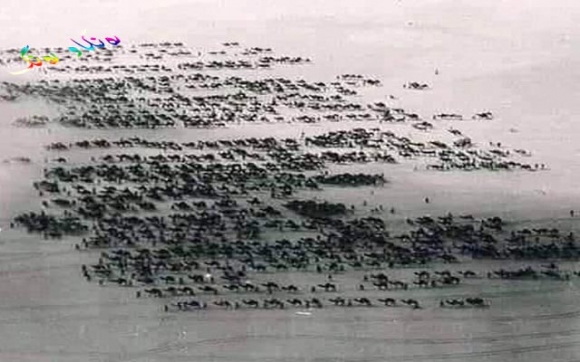 کاروانی حاجیان