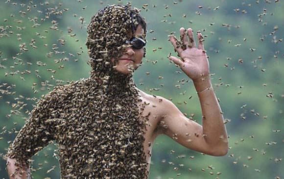 جلوبەرگێك لە هەنگ!