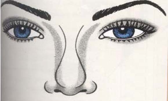 چۆنیەتی جوانكاری و ئارایشتكردنی لووت