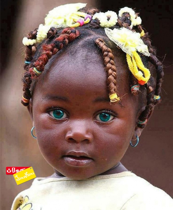 جوانترین منداڵ