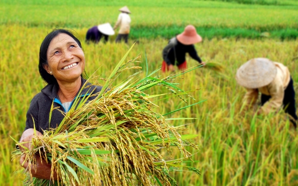 كورتــــە چیرۆك - زێـڕی راسـتەقینە