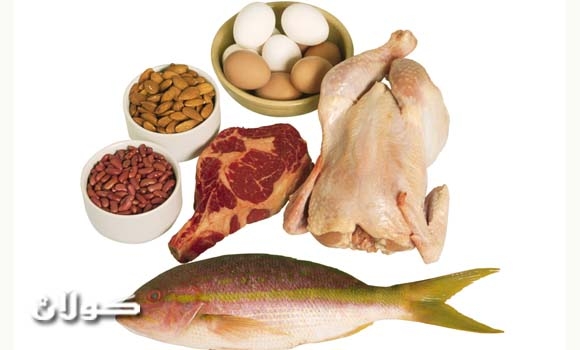 كام جــــــــــۆری پرۆتین؟