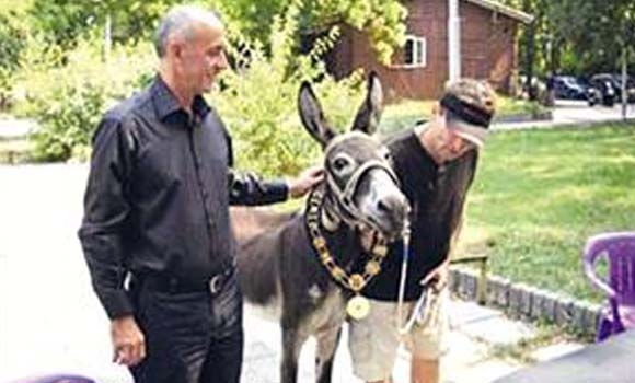 وه‌ك ناره‌زایی ده‌ربڕینێك :گوێدرێژێك بۆ هه‌ڵبژاردنه‌كانی ده‌پالێورێت