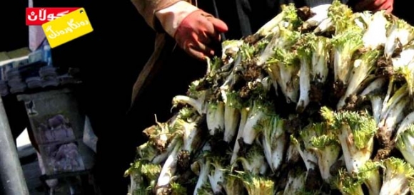 تـــام و چـــێــژی كـەنگـری بـەهاران