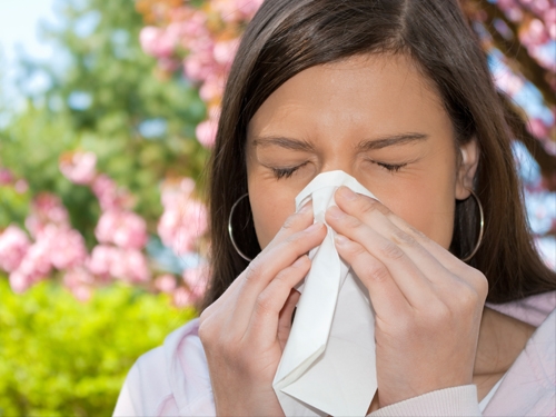 هۆكارەكانی كۆكە