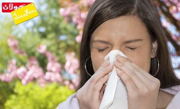 كۆكەی شەوانە