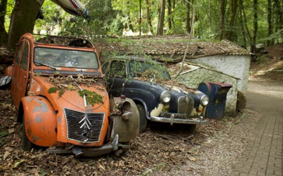 دارستانی ئۆتۆمبێلە كۆنەكان