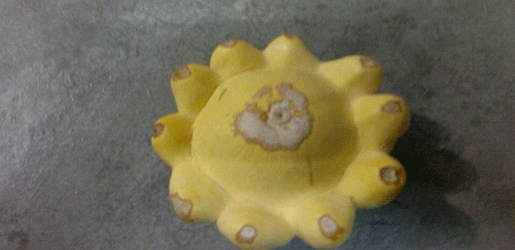 کودییەکی سەرنجڕاکێش لە کوردستان