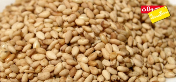 كونجی سەرچاوەیەكی باشە بۆ كانزایەكان