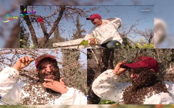 بە هەنگ ریش و سمێڵ دادەنێت