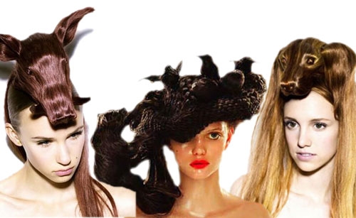 مانای تەسریحە سەیرەكان