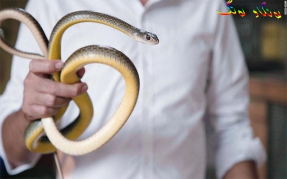 ژەمە ماری سووركراوە