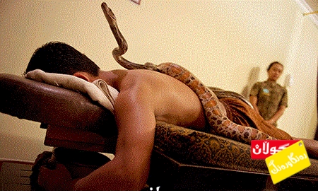 مار بۆ شێلان و مەساج كردن