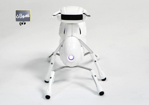 مێروولەی رۆبۆت