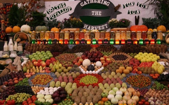 نمایشی میوە و سەوزە