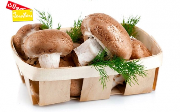 قارچک ئاستی ڤیتامین دی لە جەستەدا بەرزدەکاتەوە