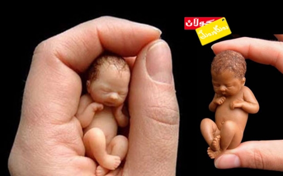 كێ دڵی دێ ئەوانە بخوات؟