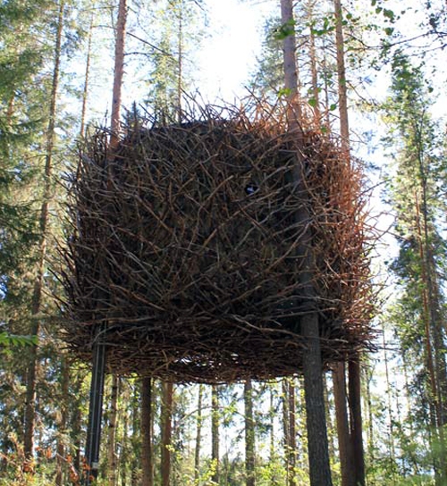 مرۆڤیش هێلانە چێ دەكات