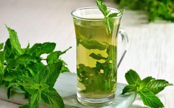 سووده‌كانی چای نه‌عنەع بزانه‌