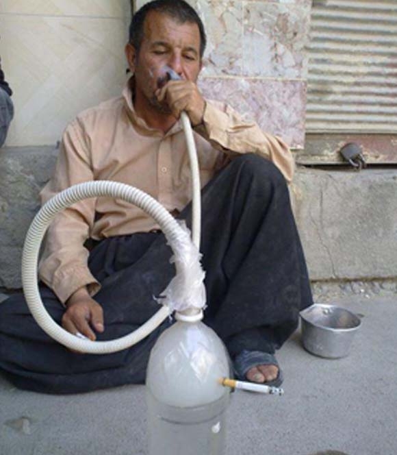 نێرگەلەی كوردی!