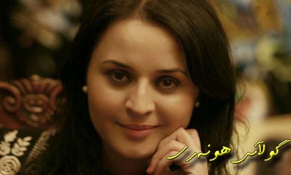 نارین دیارییەكی نوێی پێیە