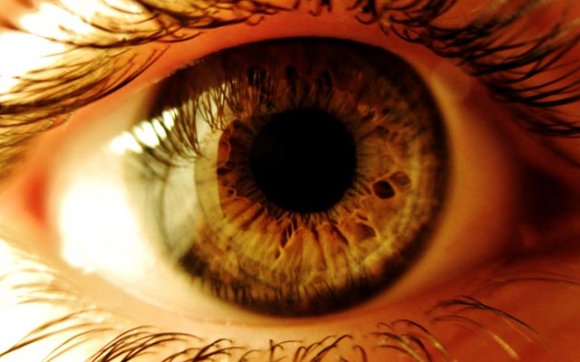 نەخش و شاكاری نێو چاوی مرۆڤ