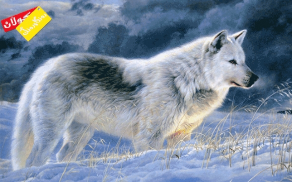 مانای خەون گورگ: