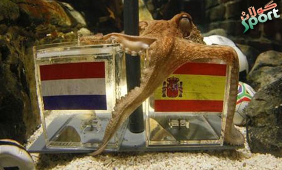 ئه‌وگیانداره‌ى سه‌رجه‌م پێشبینیه‌كانى رِاست بوه‌ پاڵه‌وانى مۆندیالى دیارى كرد