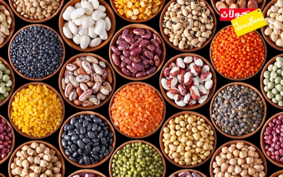 پاقلەمەنییەكان. ســەرچاوەی پرۆتینی رووەكی