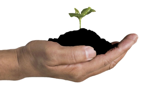 پـەیـنــەكان ژەهرن