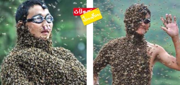 پێشبڕكێی جلی هەنگ