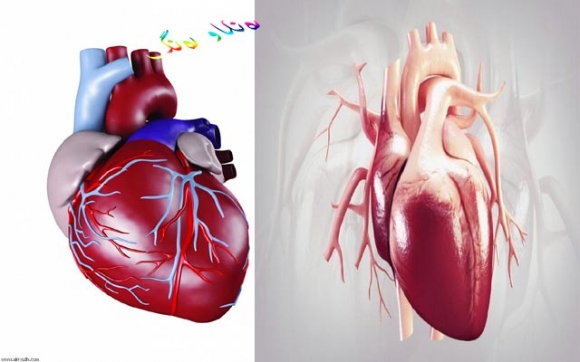 دڵی پیاو و دڵی ئافرەت