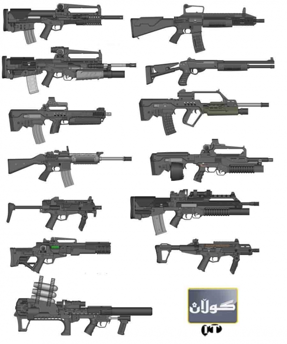 پرۆگرامێك بۆ دیزاین كردنی چەك