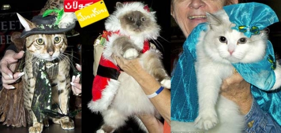 نمایـــشی جلوبـــەرگ !