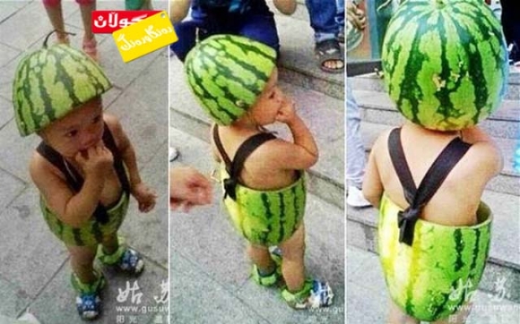 جلی منداڵان لە پەلكە شووتی