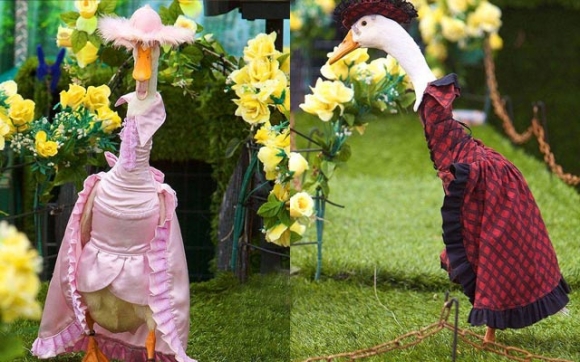 سەیرترین نمایشی جل و بەرگ