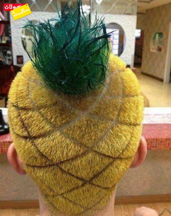 قژێك لە ئەنەناس