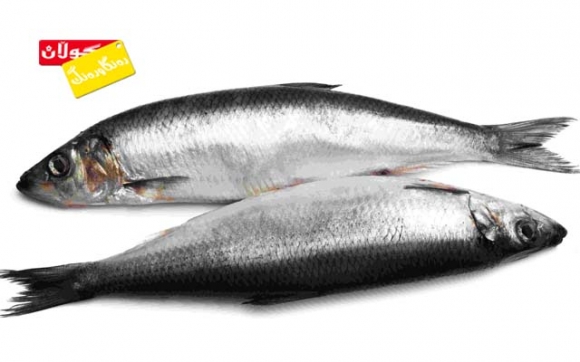 رێگای دروست بۆ تواندنەوەی ماسيی بەستوو