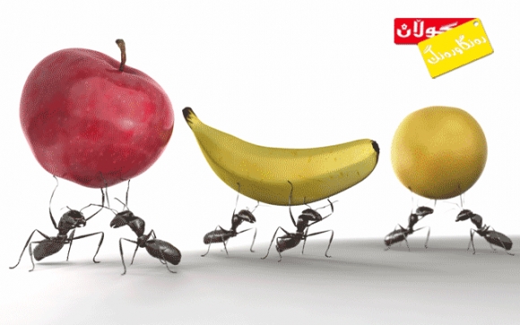 بۆ زانیاریت مێروولە :