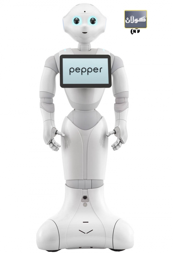 رۆبۆت دەبێتە ئەندامێكی خێزان