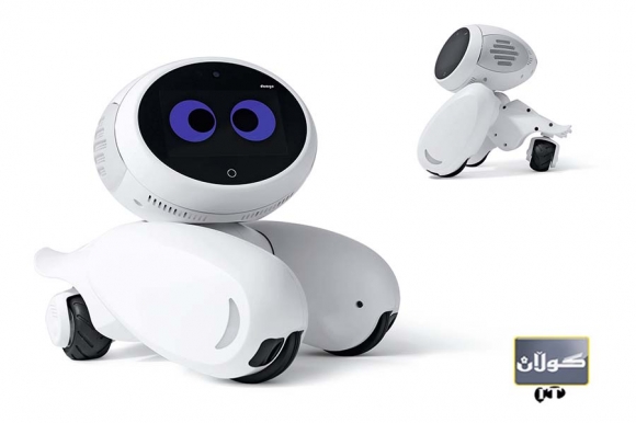 رۆبۆت لەبری گیانداری ماڵەوە