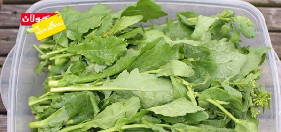 رۆژانە كەسكایی بخۆ