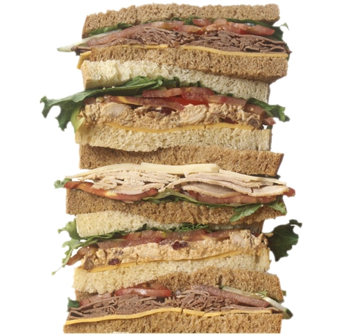 رۆژانە پرۆتین