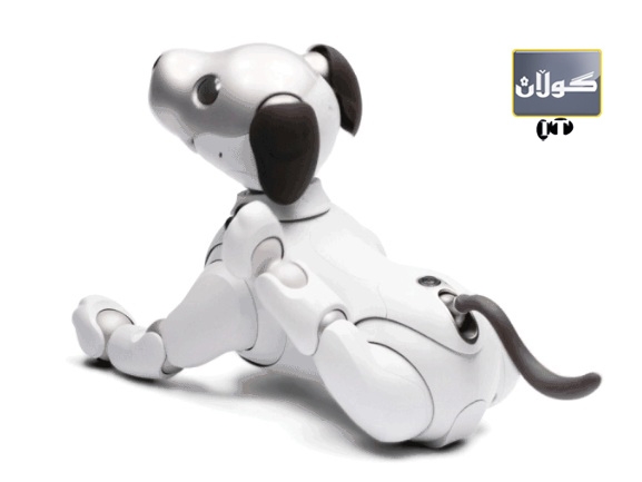 سەگە بچكۆلەكەی سۆنی