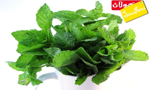 سوودی گەڵاكانی نەعناع