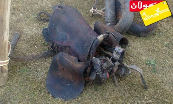 زین و كـــــــــــــــــورتان