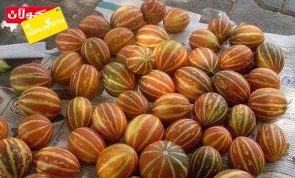 شەمامە یان (شەمامكەی) بۆن خۆش