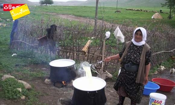 شیر و بەرهەمەكانی