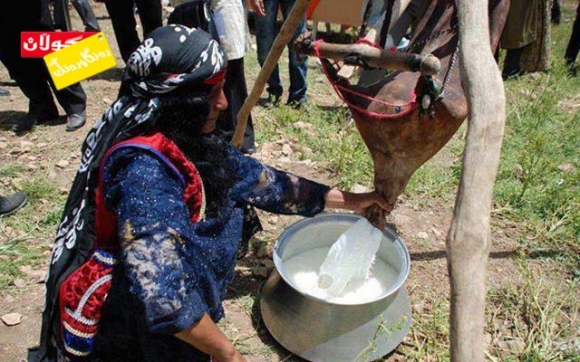 شیر و بەرهەمە خۆماڵیەكانی كوردەواری