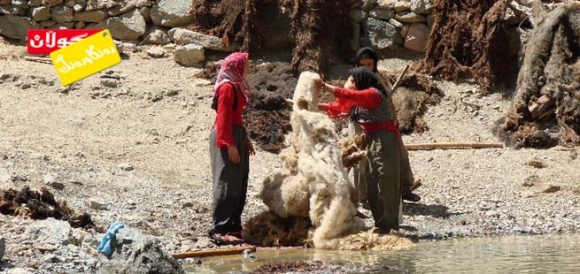 شوشتنەوەی خوری!